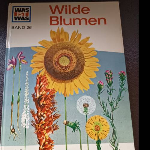 Buch Was ist was wilde Blumen, zu finden beim Stand 211 am Standort Flohkids Hamburg Nord