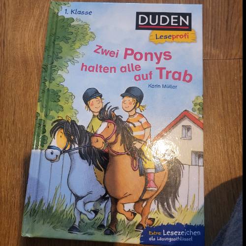 Buch2 Ponys halten alle auf Tr, zu finden beim Stand 3 am Standort Flohkids Hamburg Nord