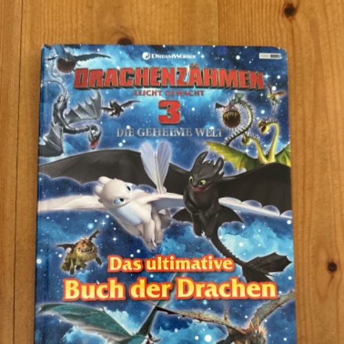 Dragons Ultimative Buch Drache, zu finden beim Stand 29 am Standort Flohkids Hamburg Nord