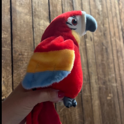 Papagei plappert nach , zu finden beim Stand 99 am Standort Flohkids Hamburg Nord