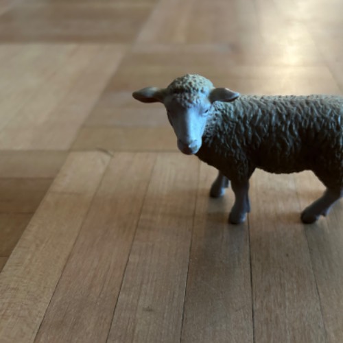 Schleich: Schaf , zu finden beim Stand 117 am Standort Flohkids Hamburg Nord