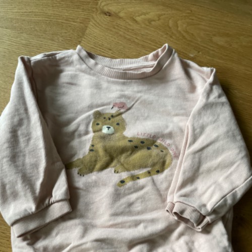 H&M Sweatshirt  Größe: 98 Löwe, zu finden beim Stand 66 am Standort Flohkids Hamburg Nord