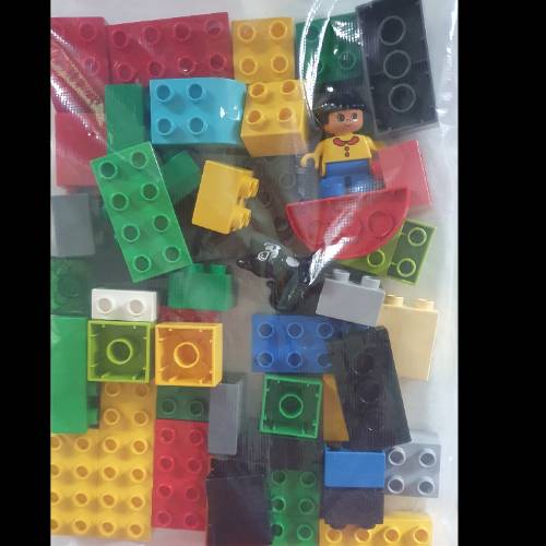 Lego Duplo  50 tlg Katze/Mädche, zu finden beim Stand 24 am Standort Flohkids Hamburg Nord