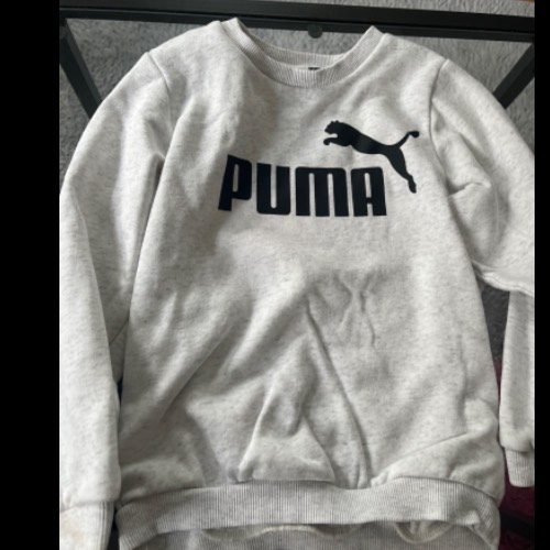 Puma Sweatshirt grau  Größe: 98, zu finden beim Stand 57 am Standort Flohkids Hamburg Nord