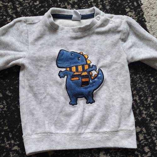 Pulli  Größe: 68 Dino, zu finden beim Stand 72 am Standort Flohkids Hamburg Nord