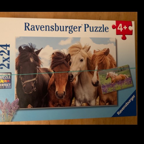 Puzzle komplett: Pferde, zu finden beim Stand 5 am Standort Flohkids Hamburg Nord