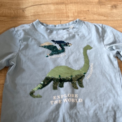 T-Shirt Dino  Größe: 116, zu finden beim Stand 191 am Standort Flohkids Hamburg Nord