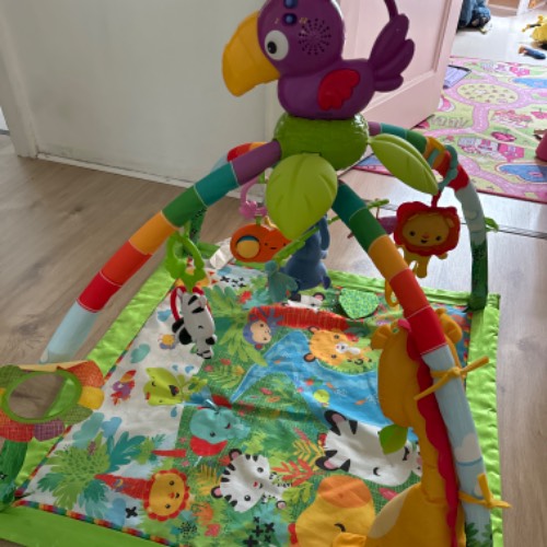 Fisher-Price Spielbogen Rainfo, zu finden beim Stand 194 am Standort Flohkids Hamburg Nord