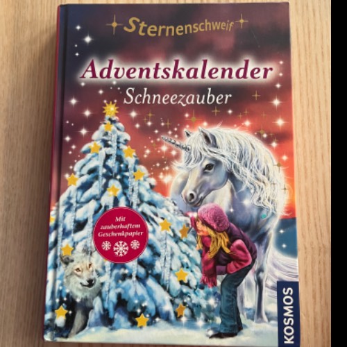 Buch , Advent, Schnee, zu finden beim Stand 200 am Standort Flohkids Hamburg Nord