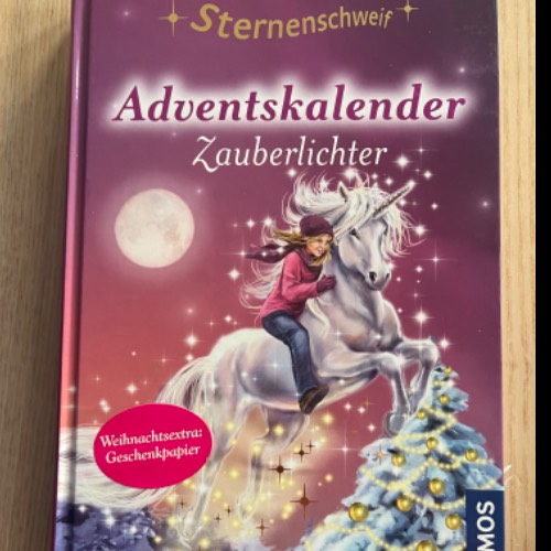 Buch, Advent, Zauber, zu finden beim Stand 200 am Standort Flohkids Hamburg Nord